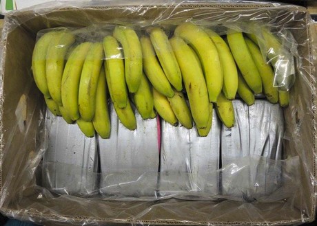 Hallan en Polonia 160 kg de coca procedentes de Ecuador