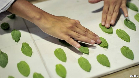 La Bullipedia: una nueva aventura del mejor cocinero del mundo