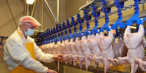 Ciudad china detecta más de 40 casos en un importante matadero avícola