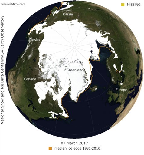Nuevo récord: el hielo flotante del Polo Norte llega a sus niveles mínimos
