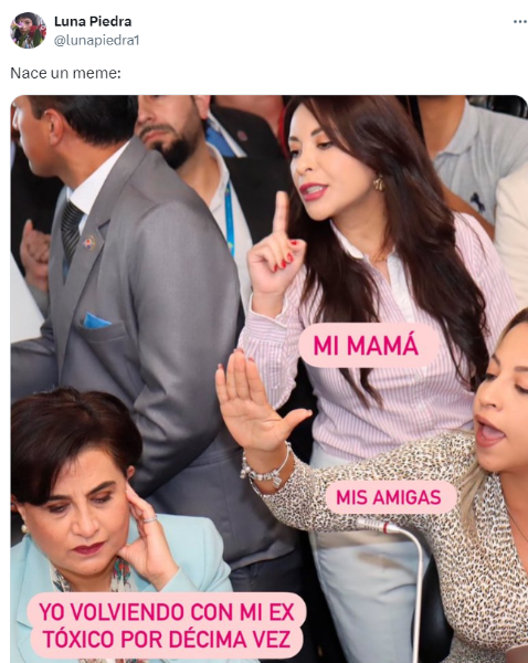 Una foto de la comparecencia de la canciller Sommerfeld en la Asamblea Nacional desencadenó una ola de memes