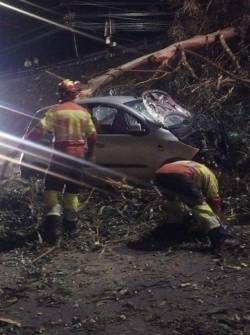 Televistazo en la Comunidad Quito | 07-11-2025