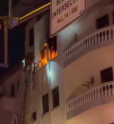 Cinco perros fueron rescatados de un incendio de un edificio en el centro de Guayaquil