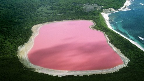 Naturaleza sorprendente