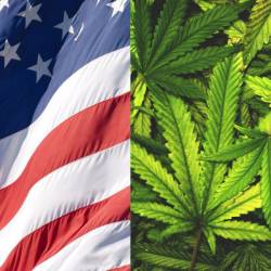 Bandera de Estados Unidos y hojas de marihuana