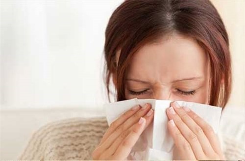 Las temporadas de alergias están empeorando debido al cambio climático