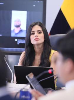 Imagen de Diana Jácome, presidenta de la Comisión de Transparencia de la Asamblea Nacional.