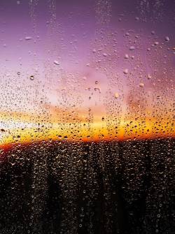 El clima con una temperatura calurosa, a su vez, con lluvia.