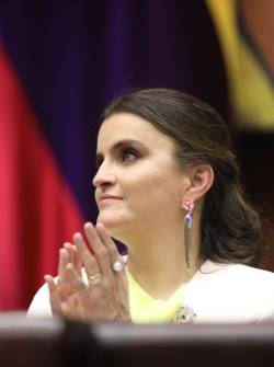 María José Pinto en la posesión.