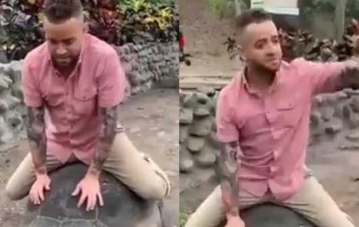 Polémico video del cantante Nacho sobre una tortuga