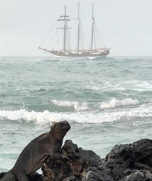 Fotografía fechada el 20 de abril de 2024 cedida por Darwin200, del centenario barco a vela neerlandés Oosterschelde en Islas Galápagos (Ecuador).