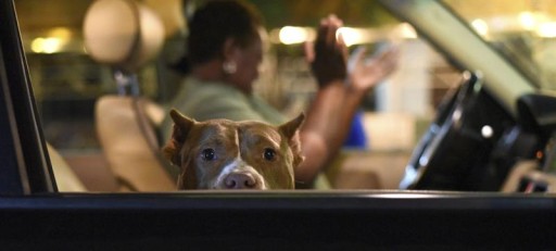 Toque de queda en Charlotte tras la tercera noche de protestas