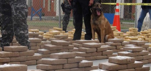 Incautan 1200 kilos de droga en Posorja