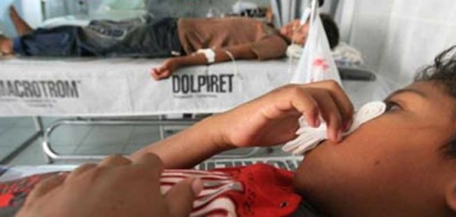 En Guayaquil ya se registran 166 casos de dengue