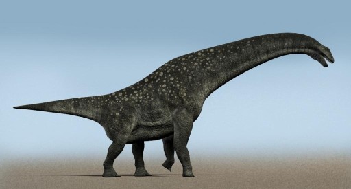 Hallan los primeros restos de dinosaurios en Arabia Saudí