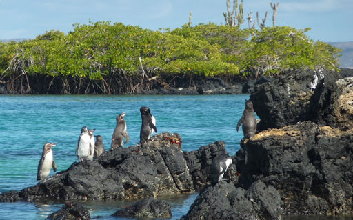 Gobierno crea equipo para la protección de las Galápagos