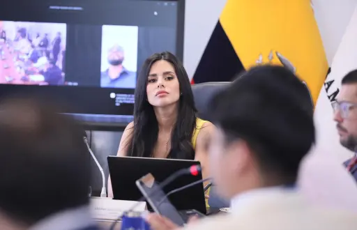 Imagen de Diana Jácome, presidenta de la Comisión de Transparencia de la Asamblea Nacional.