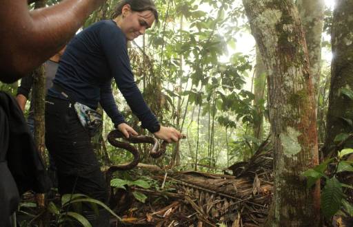 Una persona con una serpiente.