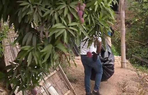 Imagen de un cuerpo descuartizado siendo sacado de un saco.