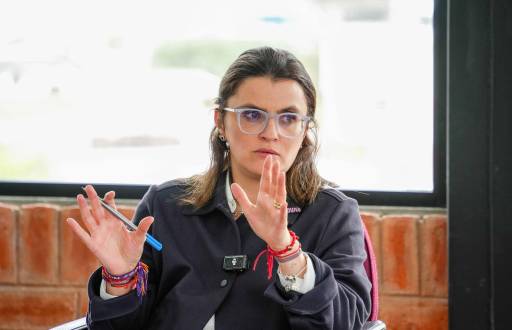 Vicepresidenta María José Pinto.