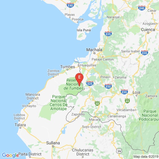 Registran sismo de 4.7 cerca de Arenillas, en El Oro