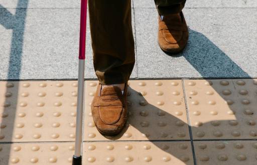 Persona con discapacidad.