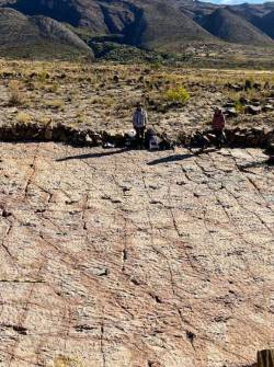 Carreras Pampa, lugar donde se hallaron las huella de dinosaurios.