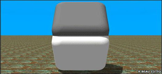 Ver para creer: la ciencia de las ilusiones ópticas