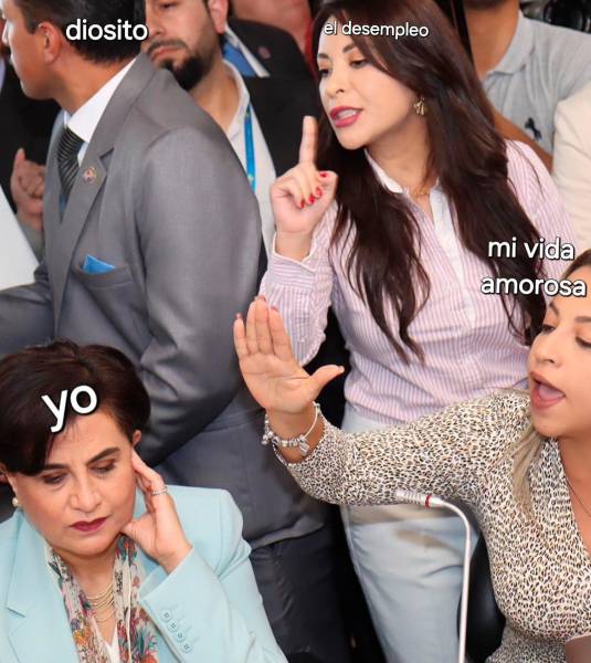 Una foto de la comparecencia de la canciller Sommerfeld en la Asamblea Nacional desencadenó una ola de memes