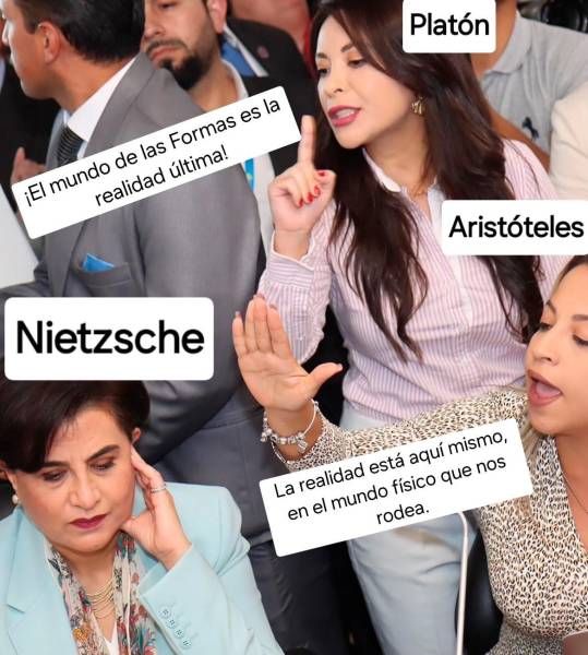 Una foto de la comparecencia de la canciller Sommerfeld en la Asamblea Nacional desencadenó una ola de memes