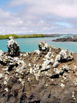 Galápagos parte 2