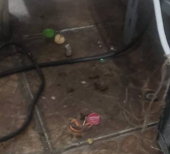 Imagen de heces de roedores y basura debajo de equipos de cocina.