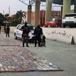 Imagen de las miles de paquetes de cocaína que fueron encontrados en el interior de un contenedor en Guayaquil.