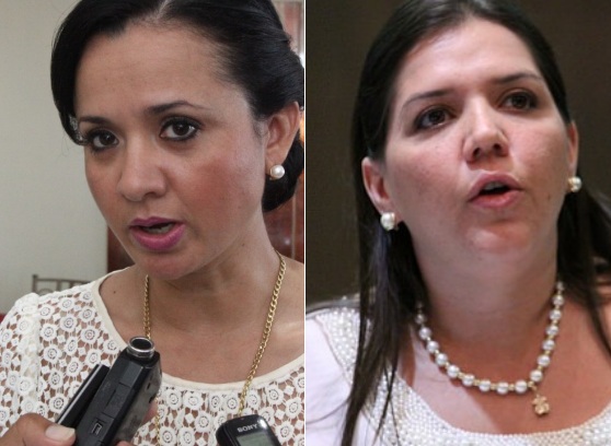 Asambleístas de AP presentan acción de protección contra encargo de Vicepresidencia