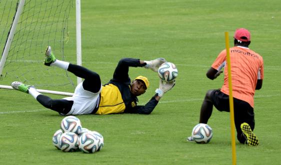 Máximo Banguera felicita a compañeros por triunfo &#039;torero&#039;