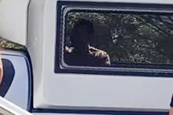 Imagen de Daniel Sancho en una furgoneta en su llegada al tribunal.