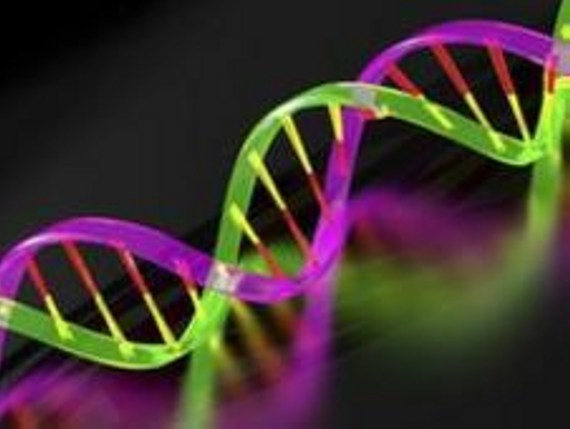 Descubren gen agresivo de cáncer de próstata