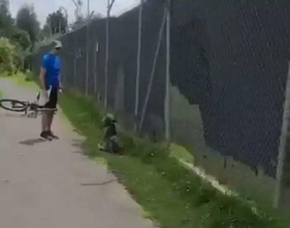El perro estuvo a un lado de uno de los senderos.