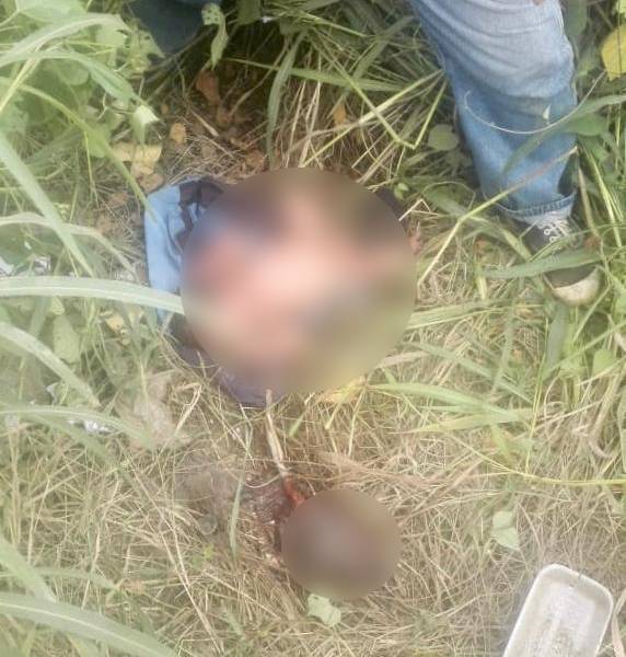 Hallan bebé abandonado al noroeste de Guayaquil