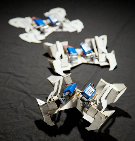 Robots inspirados en origamis se despliegan solos y se van caminando