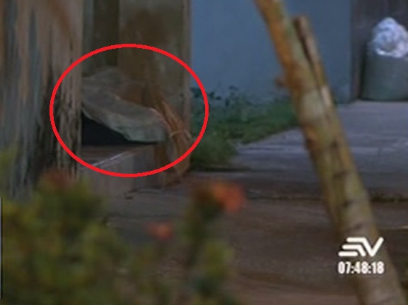 Asesinan a tiros a un joven de 18 años al norte de Guayaquil