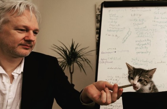 Assange cumple 4 años refugiado en la embajada de Ecuador en Londres