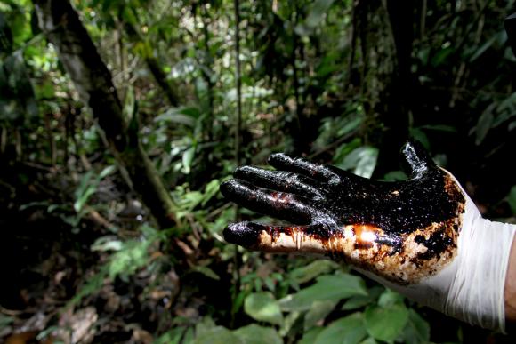 Correa viajará a la Amazonía para denunciar &quot;mentiras&quot; de Chevron