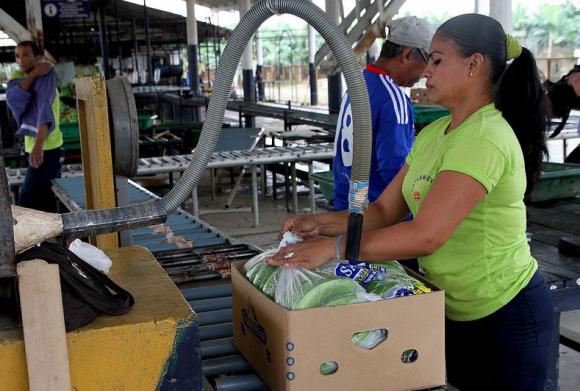 Trabajadores de La Clementina exigen pago de liquidaciones