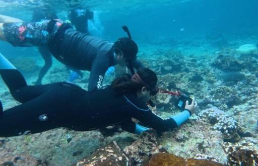 Estudios en el área marina de Galápagos.