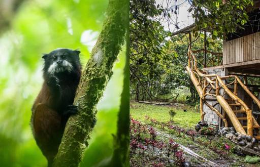 Increíble diversidad de flora y fauna en la Finca La Argentina.