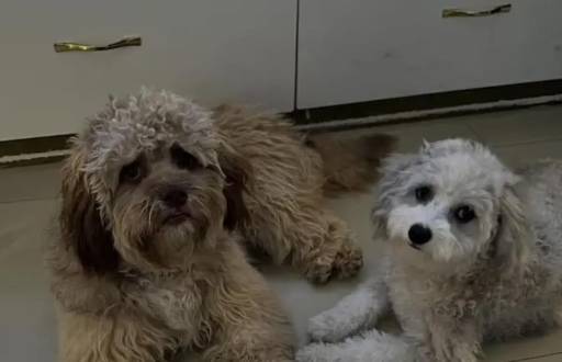 Televistazo en la Comunidad Guayaquil | 18-12-2025