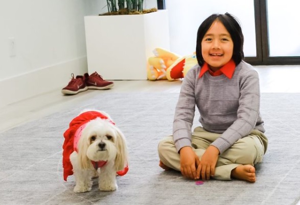 Niño de 9 años, el youtuber mejor pagado