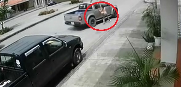 Difunden nuevo video de atropellamiento en Guayaquil