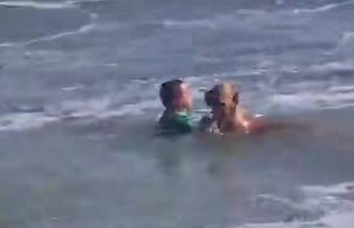 Captura del video, rescate del perro en el mar